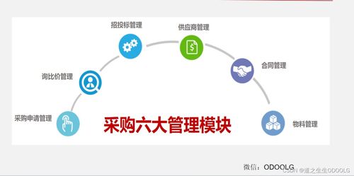 優(yōu)秀采購管理的七大核心流程與模塊 一張圖掌握所有干貨（含高風(fēng)險運(yùn)動項目專項解析）